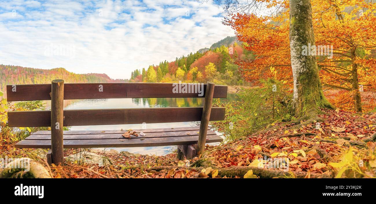 Panorama con un'antica panchina in legno sulla riva del lago Alpsee, circondato dalle colorate foglie autunnali e dalla foresta, nella zona della Baviera, Germania, Euro Foto Stock