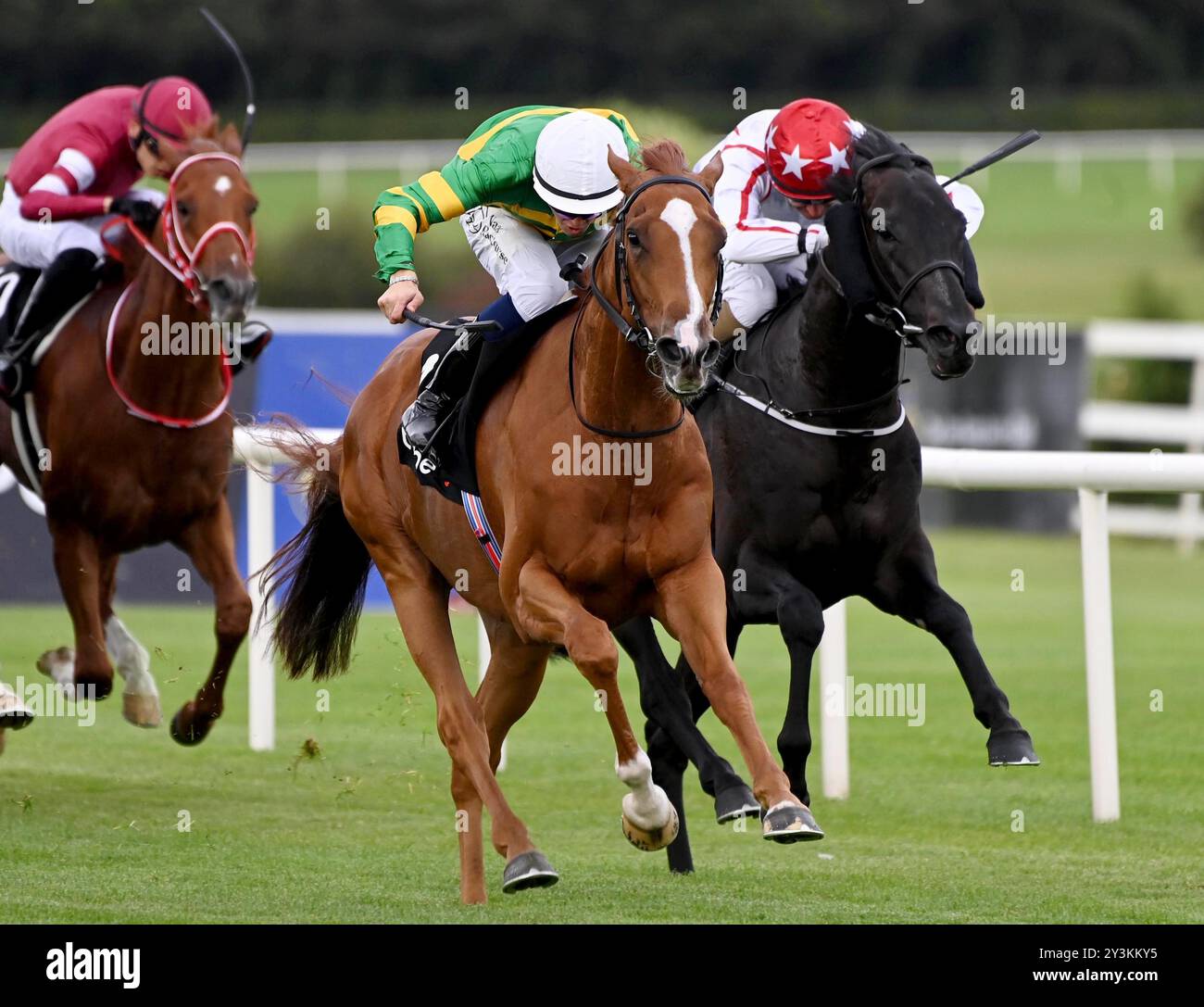 Trustyouristinct (centro) guidato dal fantino Dylan Browne McMonagle sulla strada per vincere le TonyBet 'We're Here to Play' Stakes all'ippodromo di Leopardstown. Data foto: Sabato 14 settembre 2024. Scopri la storia della PA a Leopardstown. Il credito fotografico dovrebbe essere: Healy Racing/PA Wire. RESTRIZIONI: Utilizzo soggetto a restrizioni. Solo per uso editoriale, nessun uso commerciale senza il previo consenso del titolare dei diritti. Foto Stock