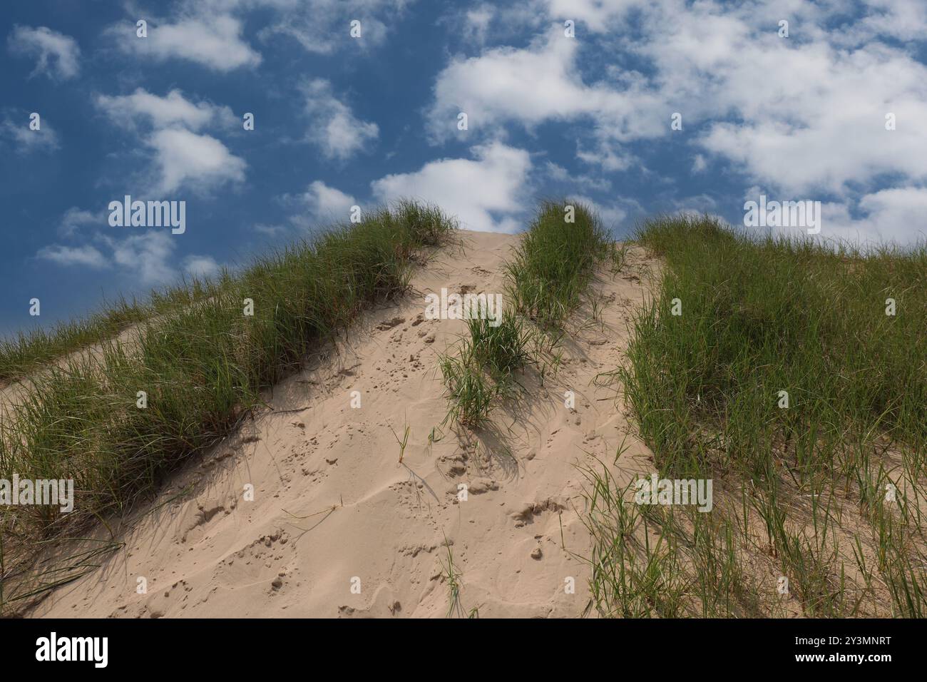 Affacciato su una duna di sabbia erbosa nel Kohler Andrae State Park, a Sheboygan, Wisconsin, in un giorno d'estate Foto Stock