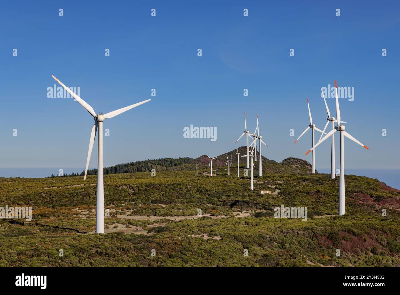 Turbine eoliche sull'altopiano Paul da Serra a Madeira, Portogallo. Foto Stock