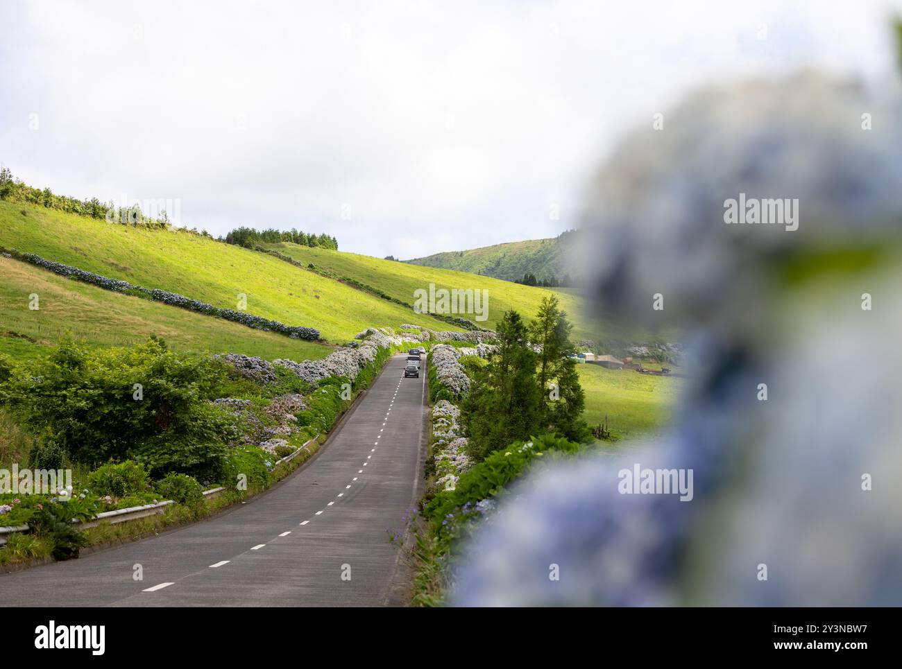 Strada con un bellissimo paesaggio. Sete Cidades, isola di Sao Miguel, Azzorre, Portogallo Foto Stock