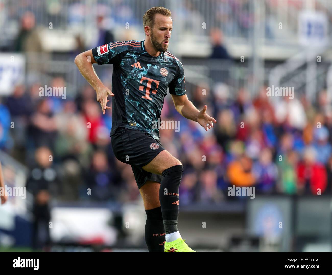 KIEL, GERMANIA - 14 SETTEMBRE: Harry Kane del Bayern Muenchen festeggia dopo aver segnato il quarto gol della sua squadra durante la partita di Bundesliga tra Holstein Kiel e FC Bayern München all'Holstein-Stadion il 14 settembre 2024 a Kiel, Germania. © diebilderwelt / Alamy Stock Foto Stock