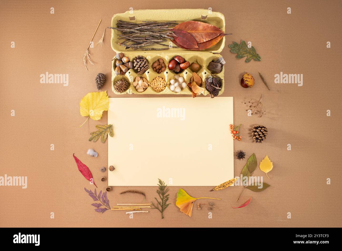 Piatto di kit di artigianato autunnale con oggetti naturali come ghiande, castagne e coni, che mostrano materiali forestali per attività creative. Foto Stock