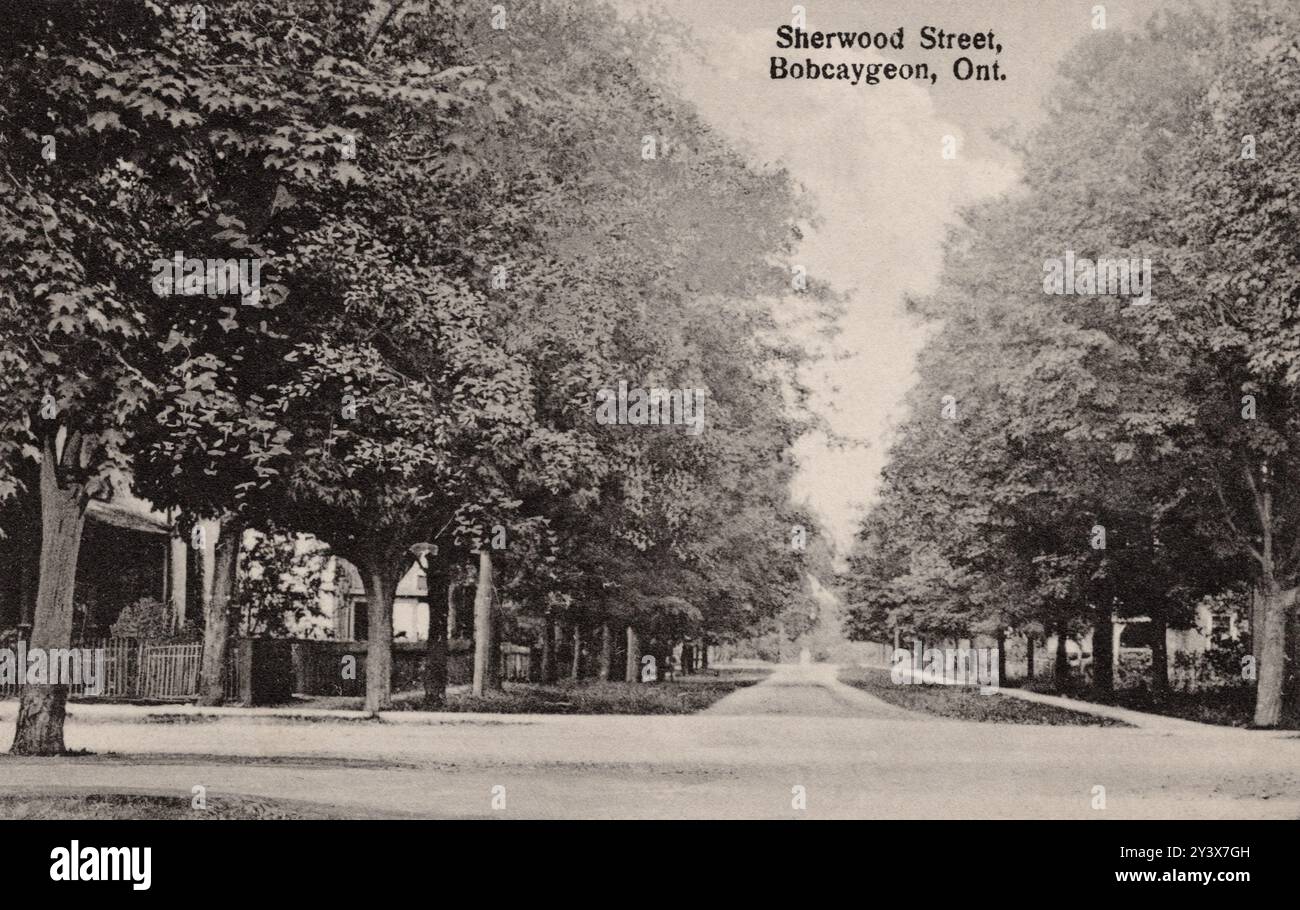 Sherwood Street, Bobcaygeon Ontario Canada, cartolina degli anni '1920 circa. fotografo non identificato Foto Stock