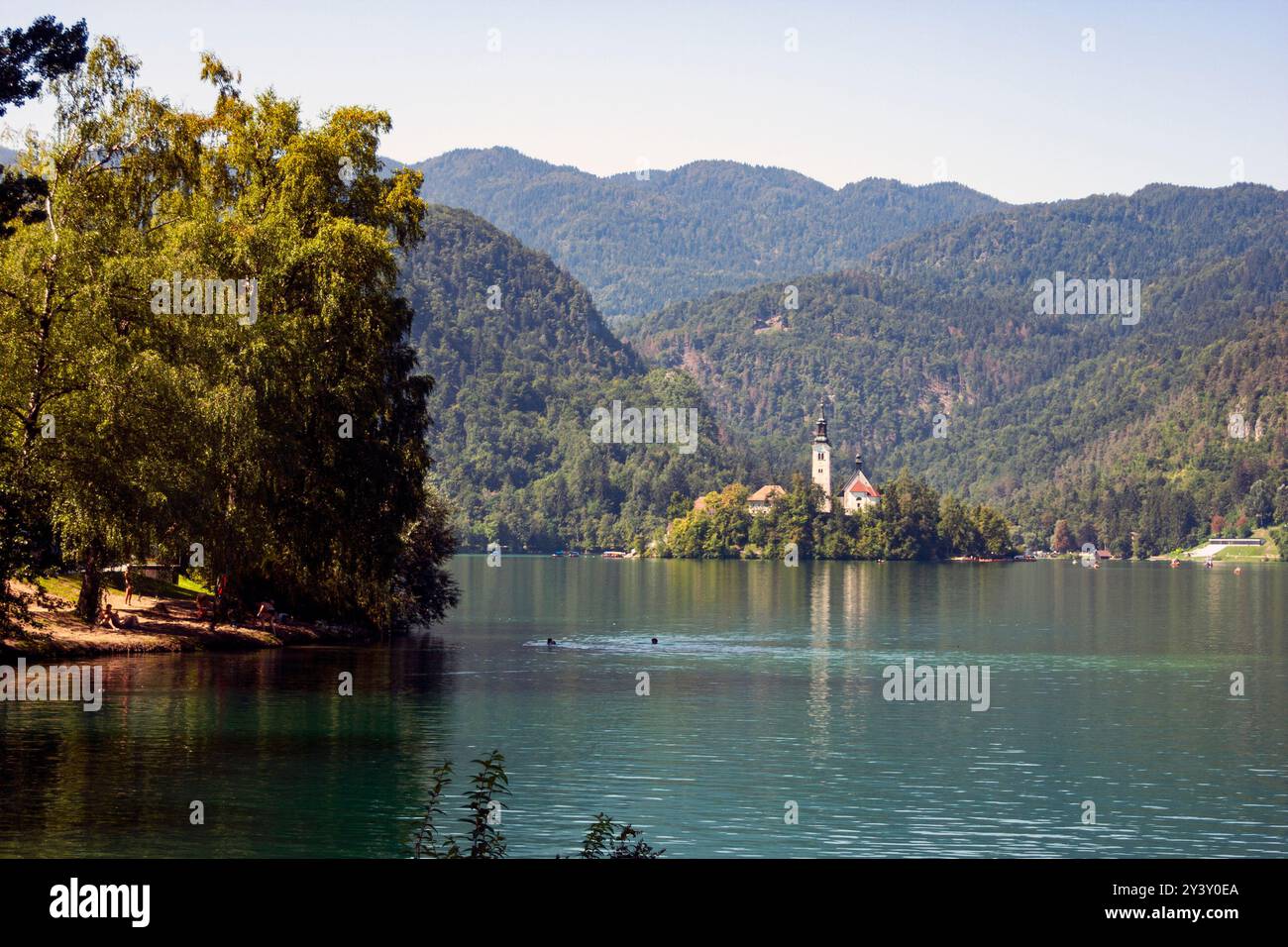 L'isola di Bled in autunno Foto Stock