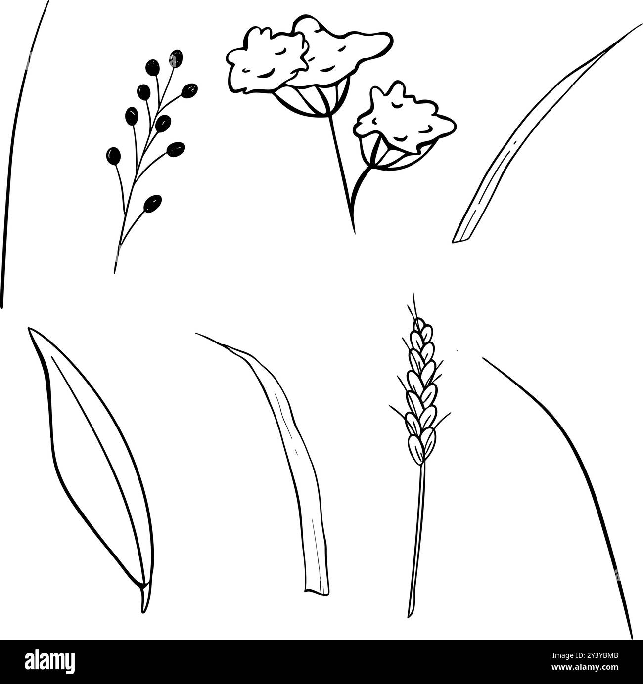 Disegni minimalisti con linee botaniche che celebrano la bellezza della natura in modo artistico Illustrazione Vettoriale