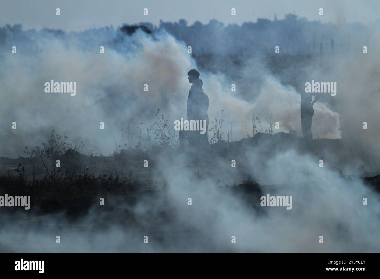 Gaza, Palestina. 1 novembre 2019. I manifestanti palestinesi si scontrano con le forze israeliane ad Abu Safya, nel nord della Striscia di Gaza, durante le manifestazioni di questo venerdì. Secondo il ministero della salute di Gaza decine di manifestanti sono stati feriti da proiettili vivi o colpi rivestiti di gomma e da gas lacrimogeni sparati dall’esercito israeliano nelle manifestazioni odierne lungo il confine tra Gaza e Israele. I palestinesi si erano riuniti in diverse località lungo il confine della Striscia di Gaza con Israele venerdì pomeriggio, nell’ambito delle grandi marce settimanali per il rimpatrio, chiedendo la revoca del rigido blocco israeliano di 12 anni a Gaza. Foto Stock