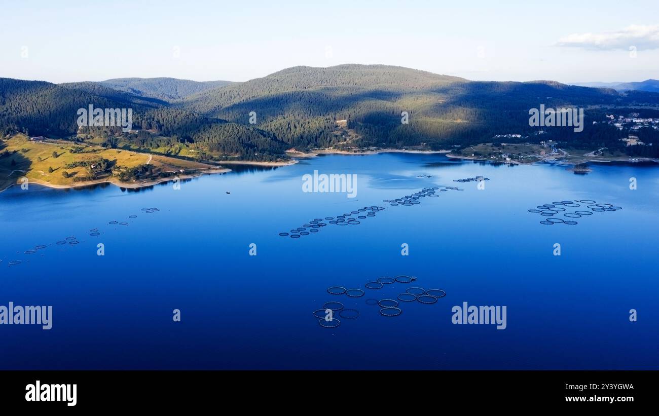 Montagne circondate da foreste al sole splendente, Bulgaria. Allevamenti ittici di trote e altri pesci sul lago. Colpo aereo da un drone Foto Stock