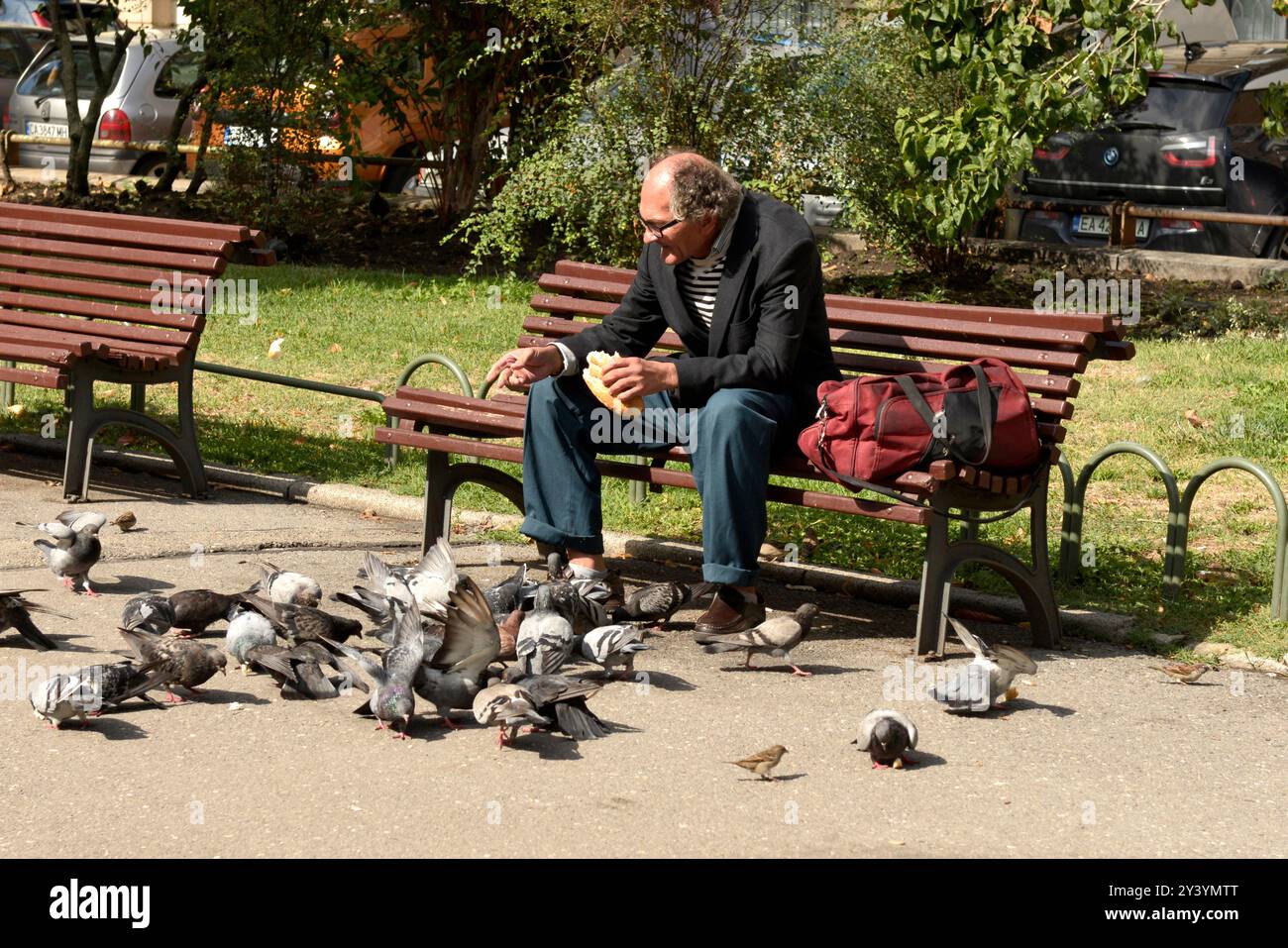 Maschio anziano che dà da mangiare ai piccioni con pane nel parco, Sofia Bulgaria, Europa orientale, Balcani, UE Foto Stock