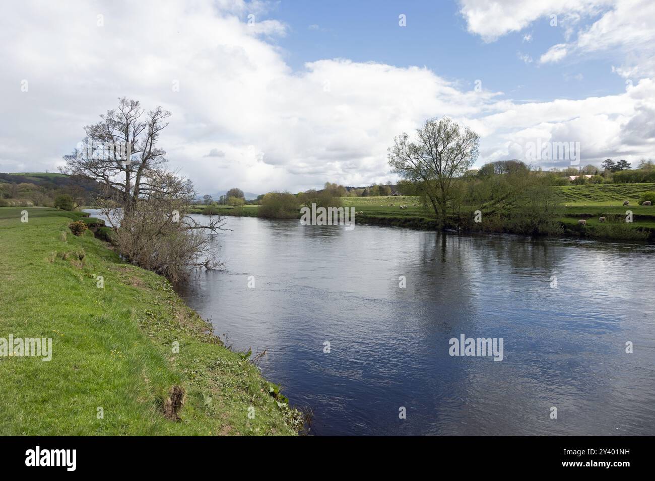 He River Lune presso il Crook di Lune vicino a Caton Lancaster in Inghilterra Foto Stock