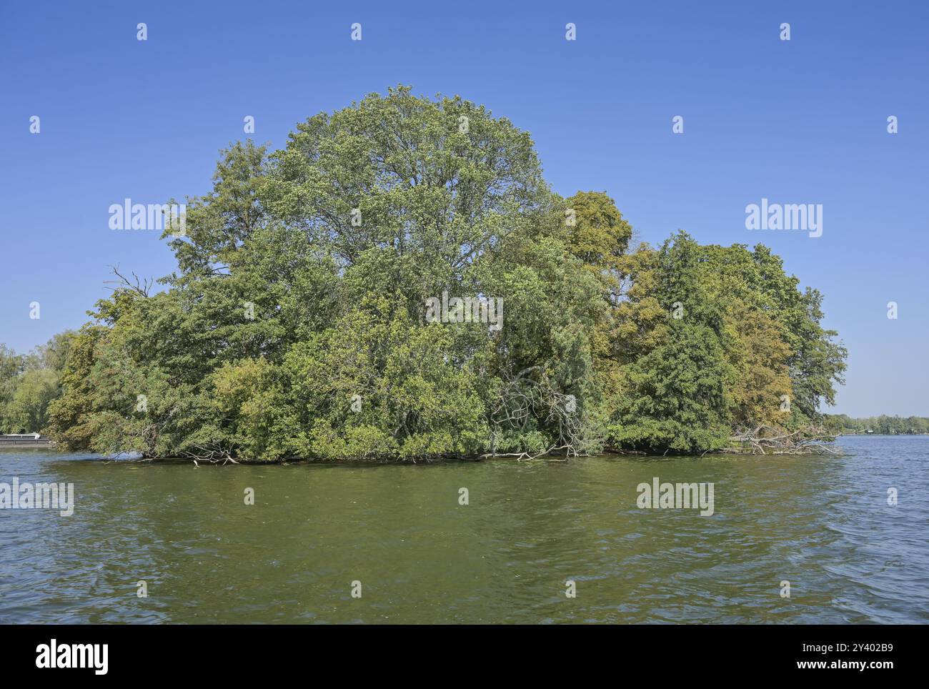 Island Grosser Wall, Havel, Hakenfelde, Spandau, Berlino, Germania, Europa Foto Stock