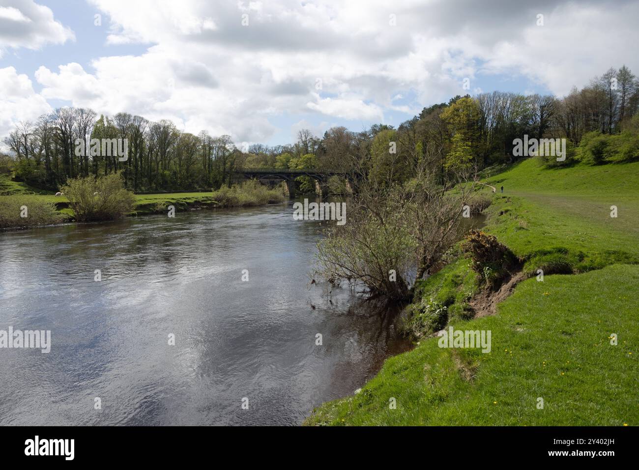 Viadotto ferroviario ora un sentiero pedonale e un sentiero nuziale che attraversa il fiume Lune al Crook di Lune vicino Lancaster Lancashire Inghilterra Foto Stock