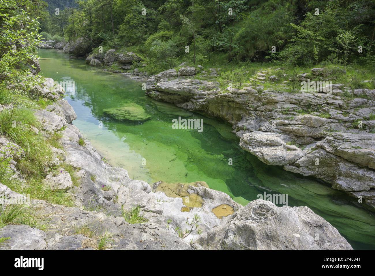 Fiume verde smeraldo Pozze Smeraldine, tramonti di sopra, provincia di Pordenone, Italia, Europa Foto Stock