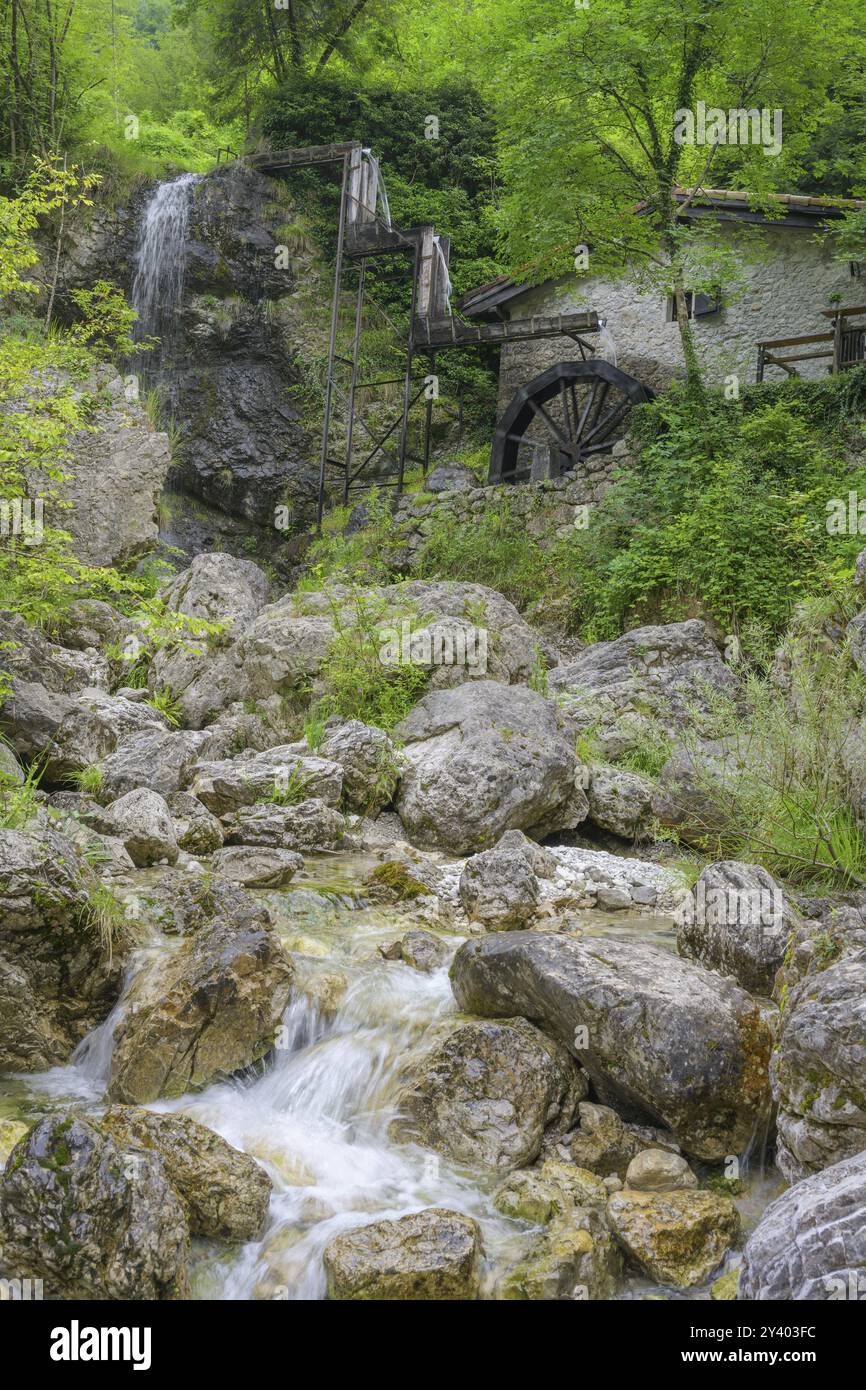 Ruscello, mulino e cascata presso il vecchio mulino, tramonti di sopra, provincia di Pordenone, Italia, Europa Foto Stock