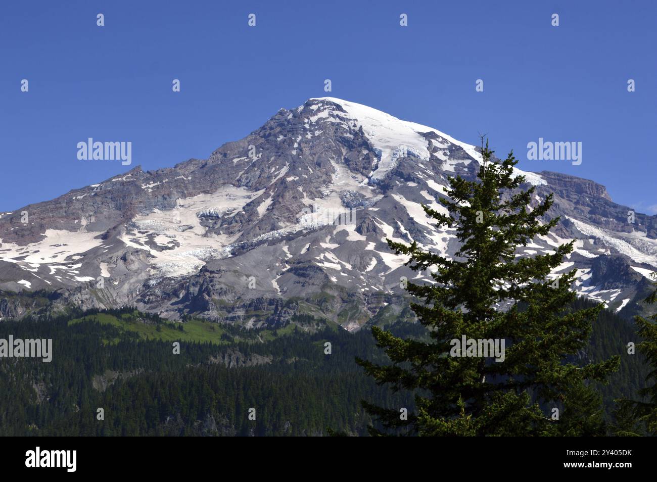 Panorama del Mount Rainier National Park, Washington, Stati Uniti, Nord America Foto Stock