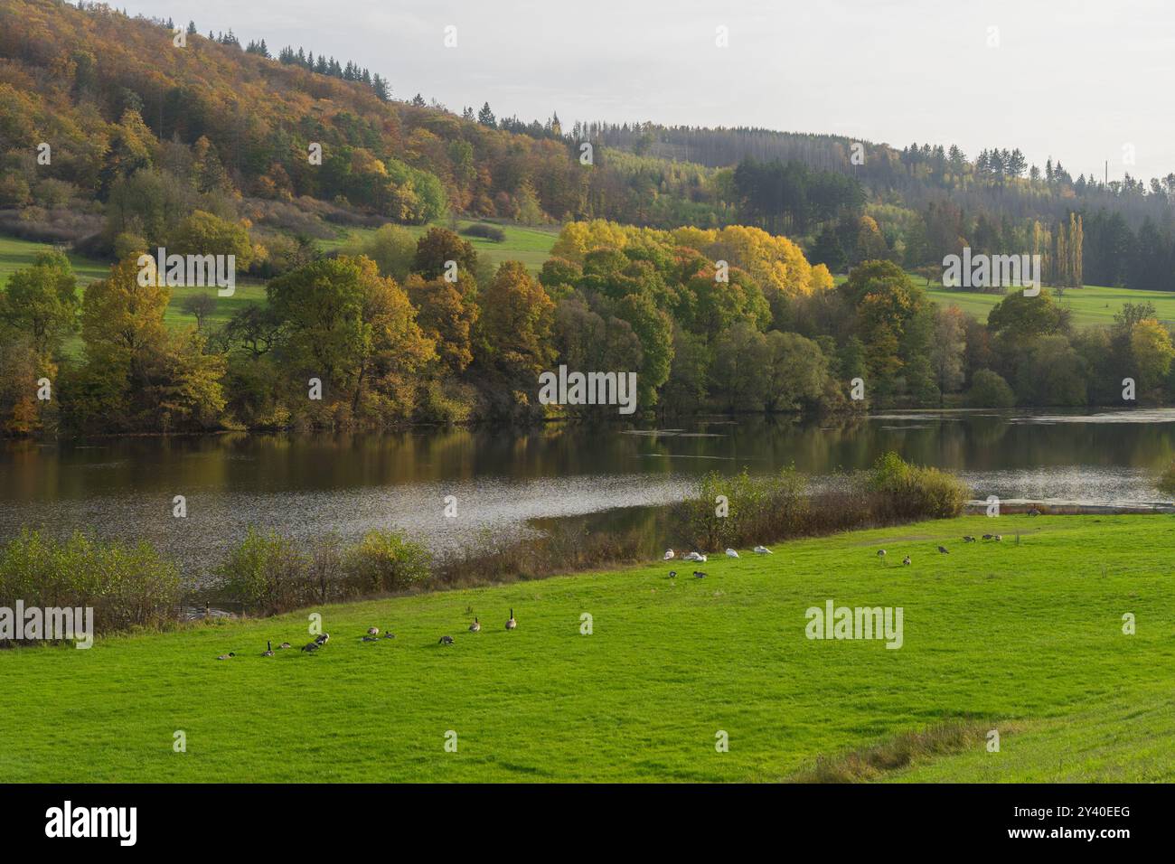 Paesaggio sul lago chiamato Perfstausee vicino al villaggio tedesco Breidenbach Foto Stock