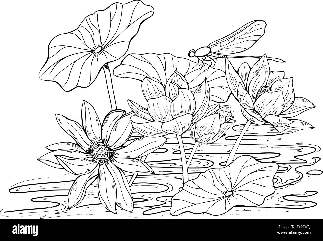 Fiori di loto che crescono in acqua e libellula seduto su un vettore di foglie, illustrazione isolata da inchiostri neri. Fiori nazionali vietnamiti Water Lily Illustrazione Vettoriale