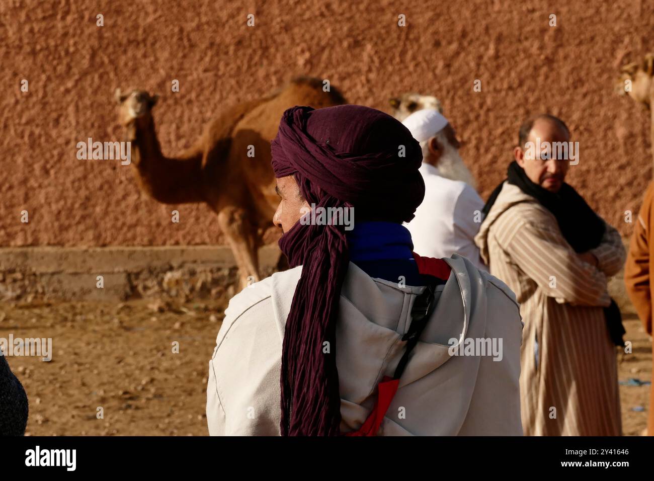 Guelmim, chiamata 'la porta d'ingresso al deserto, è conosciuta per il suo famoso mercato settimanale dei cammelli che si tiene ogni sabato. Marocco, Nord Africa Foto Stock