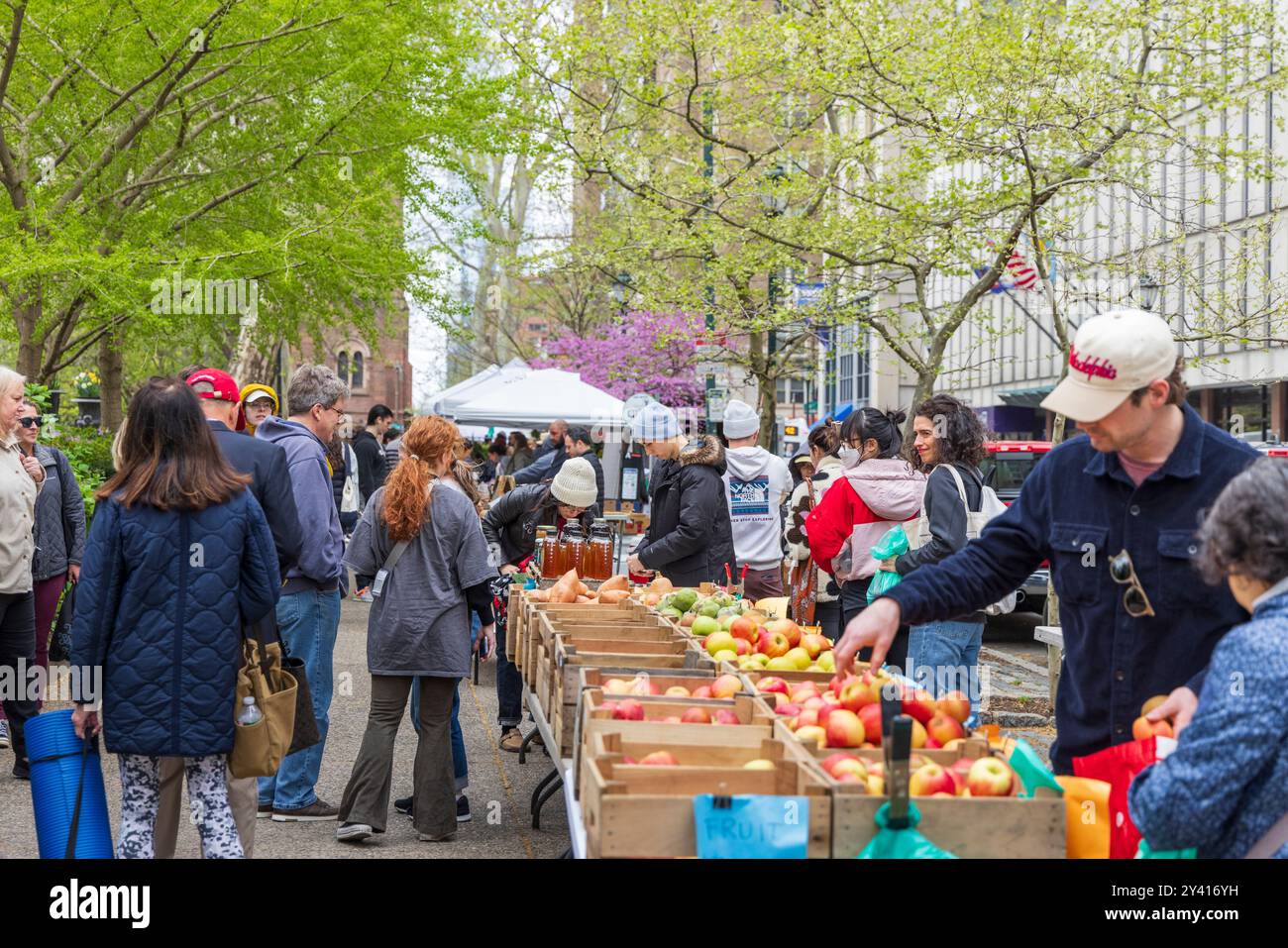 Frutta e mele provenienti dalla contea di Lancaster al Rittenhouse Square Saturday Farmer's Market, Philadelphia, Pennsylvania Foto Stock