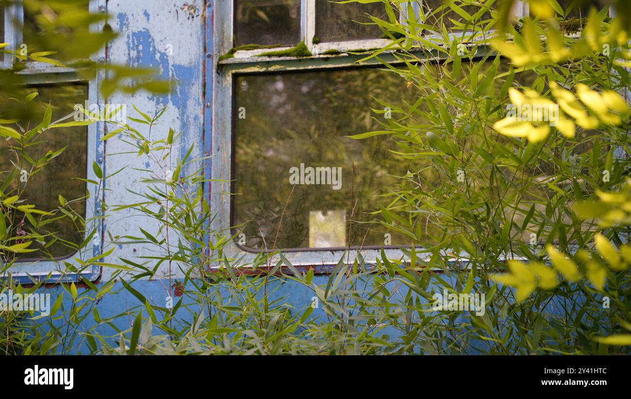 Perso nel tempo: Cabina ferroviaria abbandonata nel mezzo della foresta Foto Stock