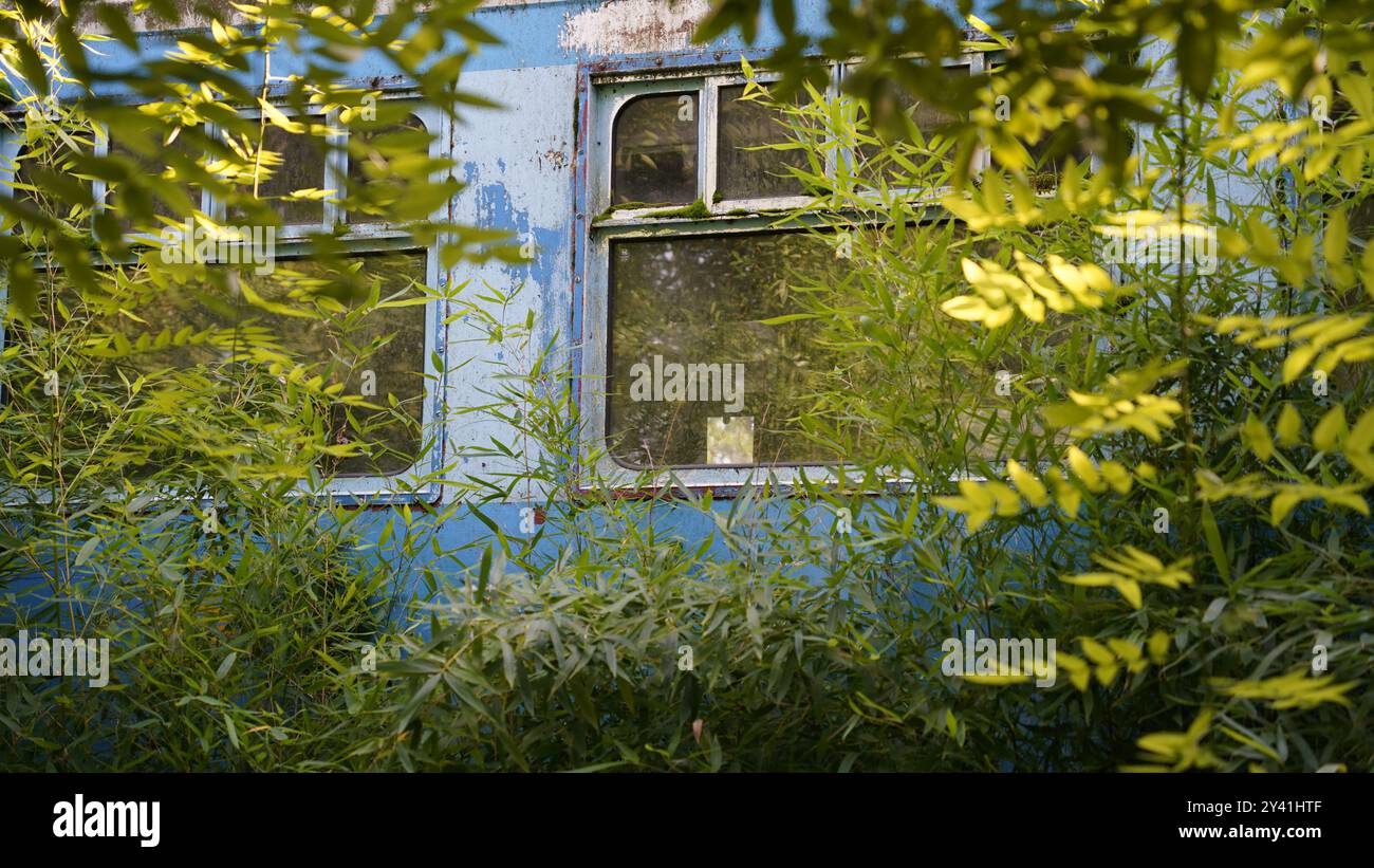 Perso nel tempo: Cabina ferroviaria abbandonata nel mezzo della foresta Foto Stock