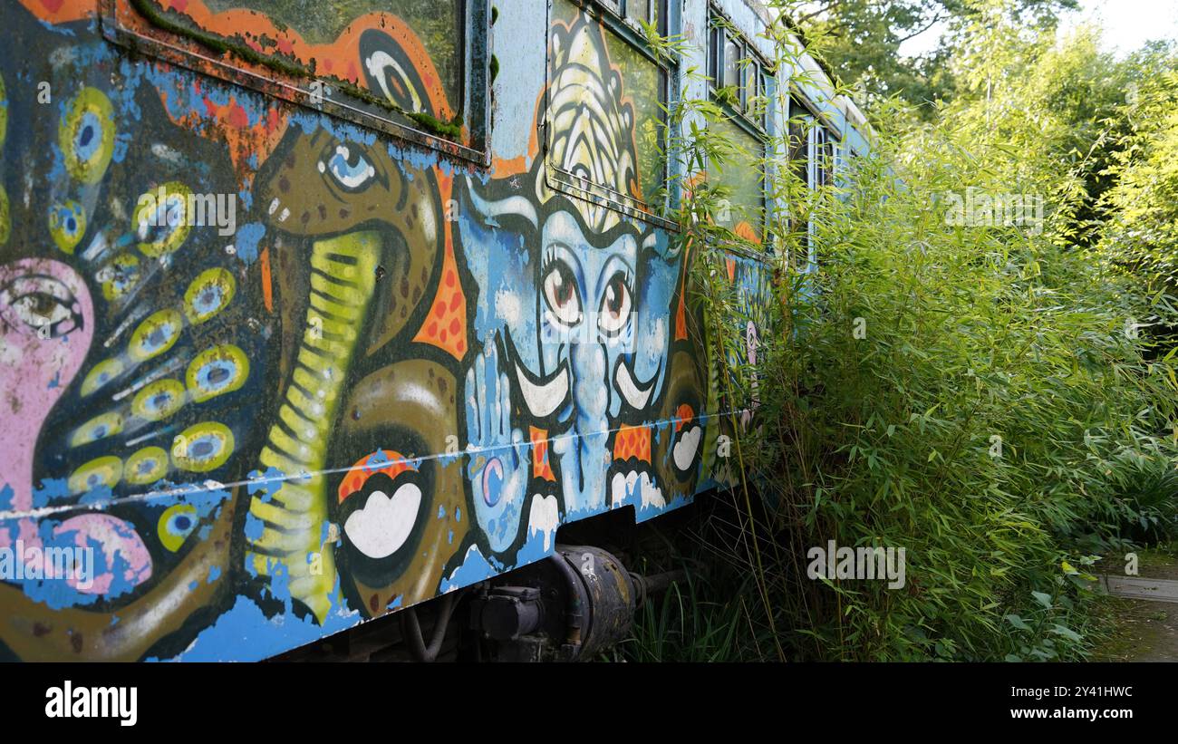 Perso nel tempo: Cabina ferroviaria abbandonata nel mezzo della foresta Foto Stock
