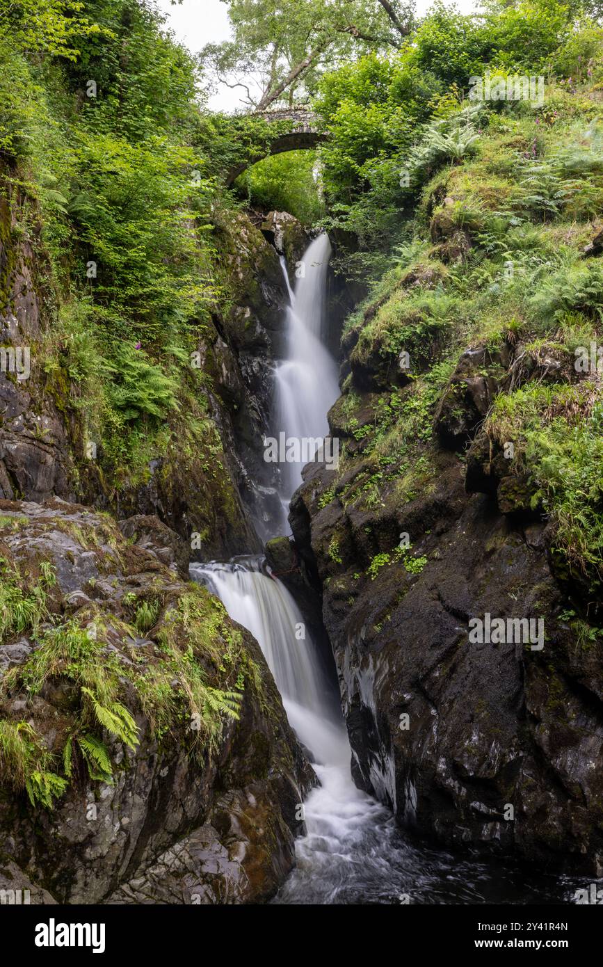 Cascata Aira Force, Watermillock, nel Lake District Foto Stock