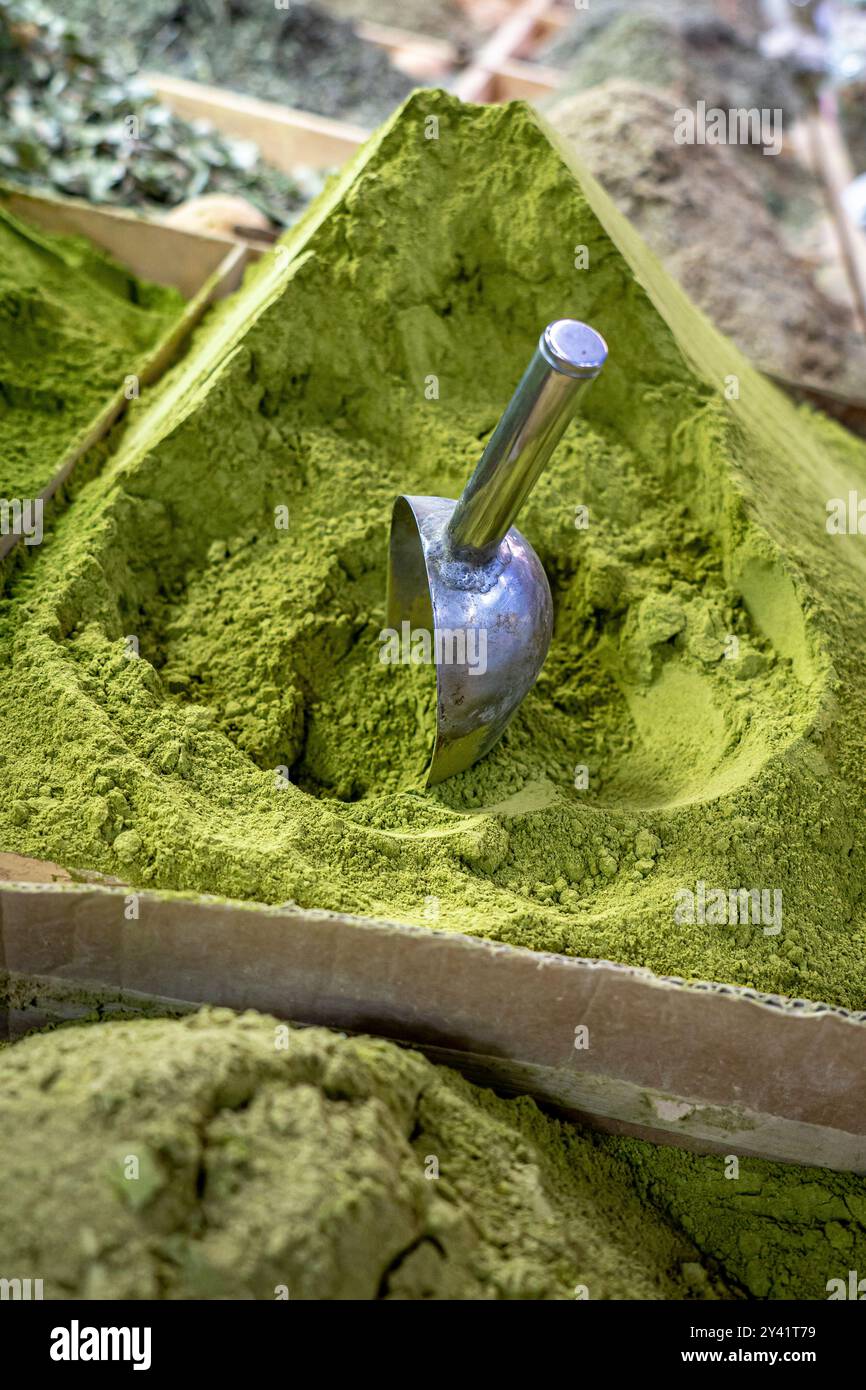 Pila di polvere di spezie verdi al mercato tradizionale Risani, Marocco Foto Stock