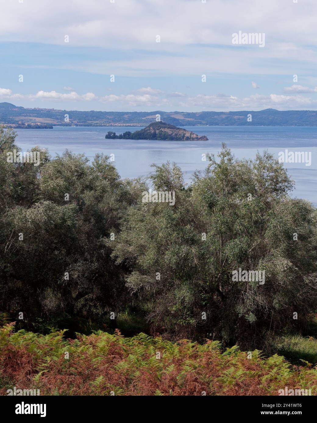 Vista sugli alberi verso un'isola sul lago Bolsena. Provincia di Viterbo, regione Lazio, Italia. 15 settembre 2024. Foto Stock