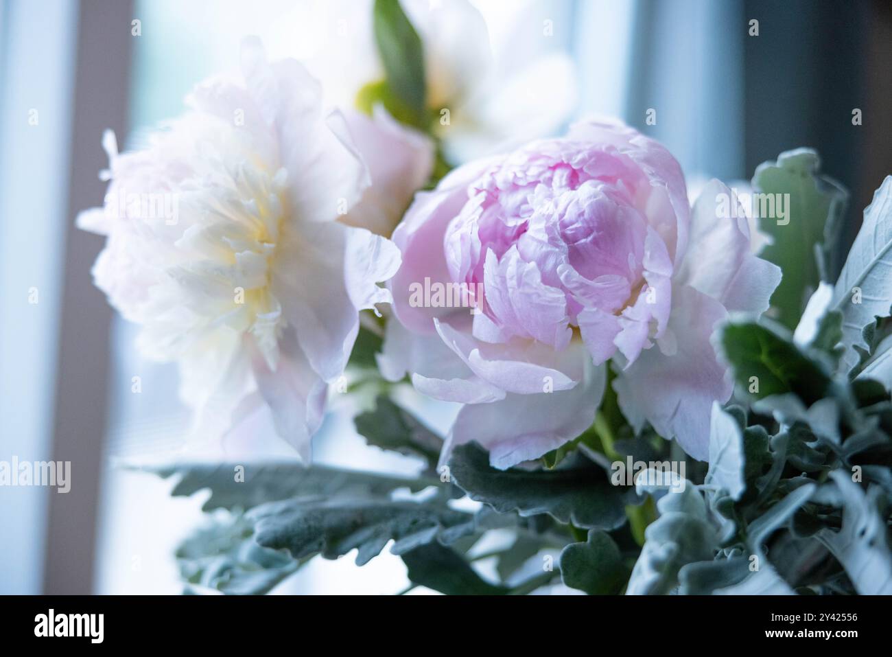 Splendido bouquet di rose in giardino con fiori, disposizione in stile peony per ricevimenti nuziali, cerimonie, eventi, macro Photography Foto Stock