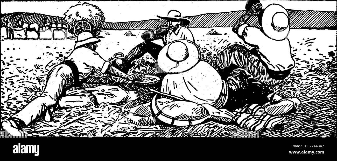 Gruppo di lavoratori terrieri, vestiti in modo tradizionale, in pausa seduti nel campo a bere e a mangiare dopo la falciatura. Foto Stock