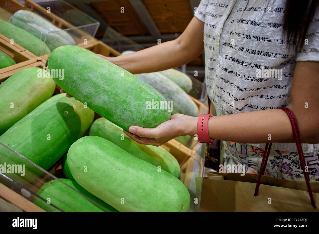 Mano corta di donna che tiene il melone invernale al mercato Foto Stock