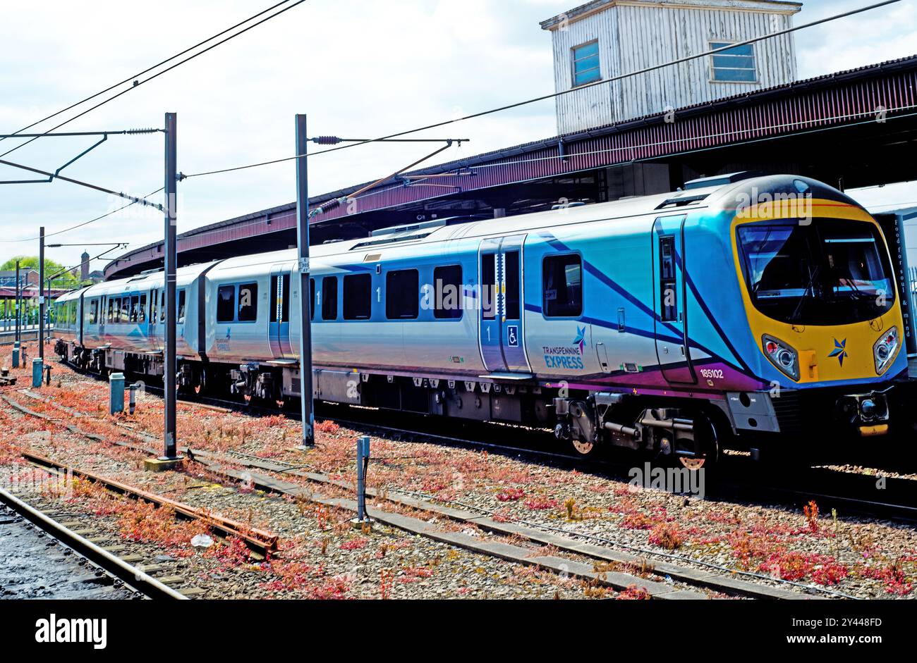 Classe 185TrsnspennineUnit unitl. YorkStwtion, Yorkshire, Inghilterra Foto Stock