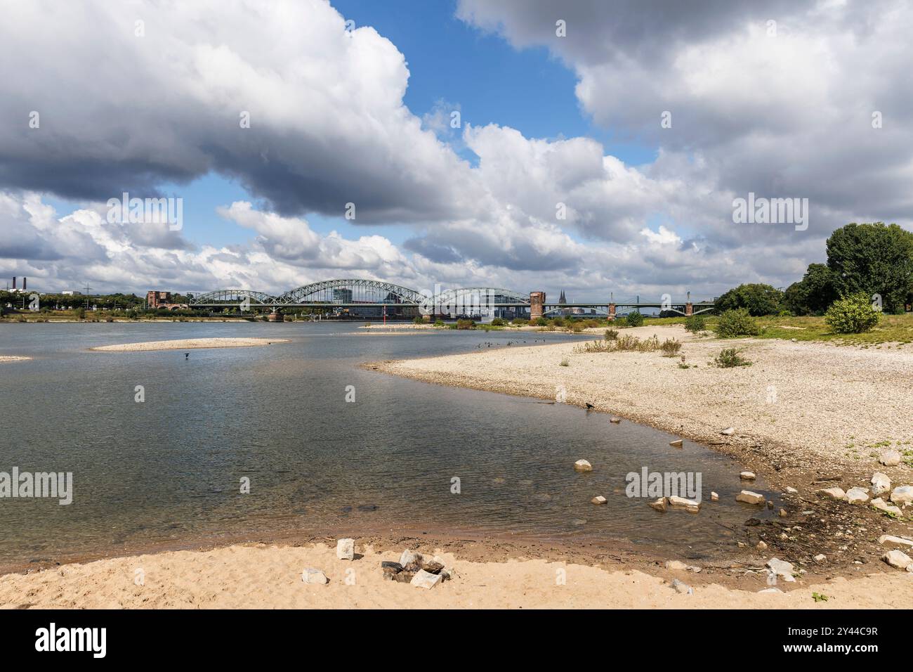 Il livello del Reno il 13 settembre 2024 a 247 cm, sponde del fiume Reno a Colonia-poll, vista sul Ponte Sud, sullo sfondo il porto di Rheinau Foto Stock