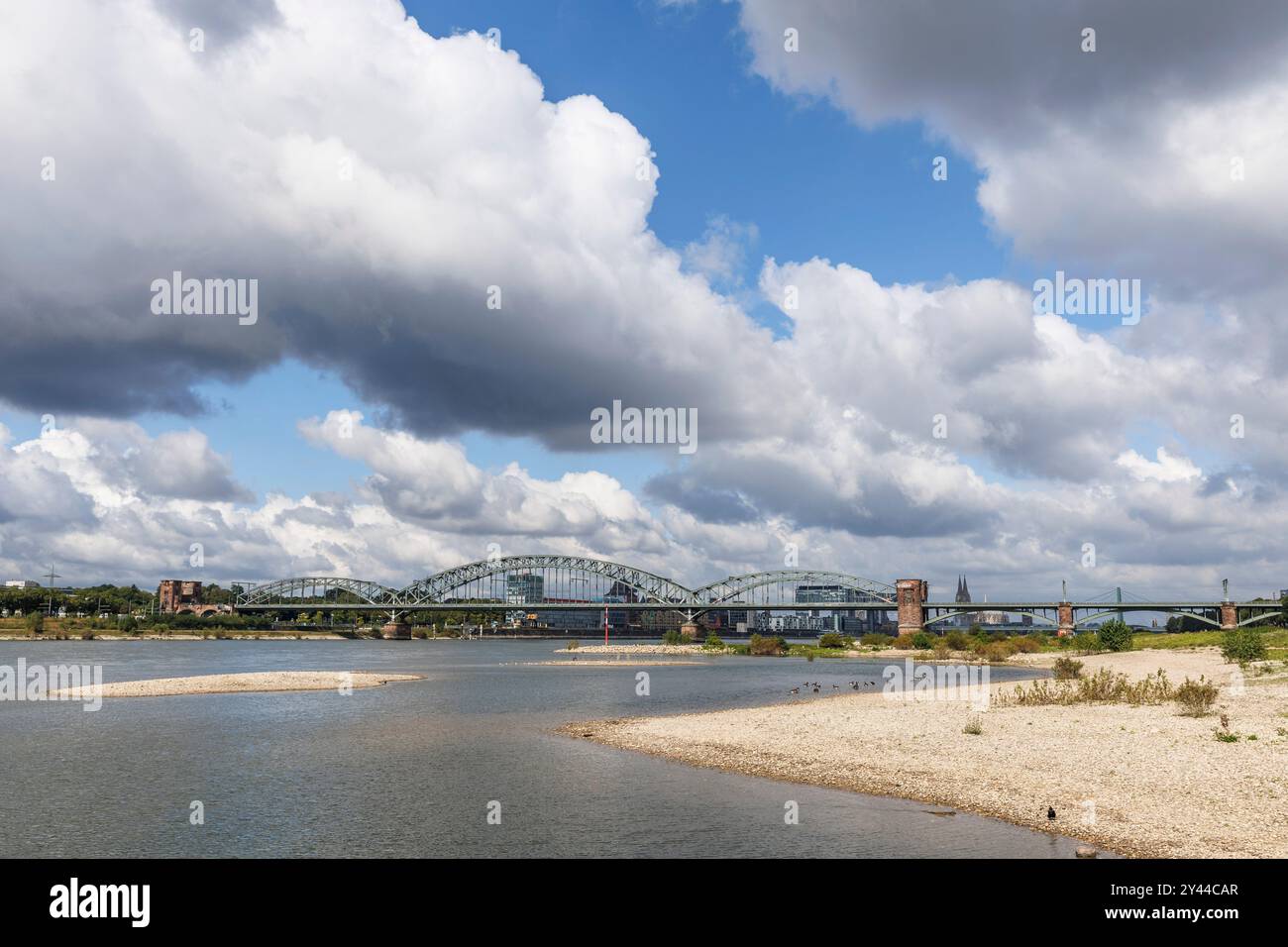 Il livello del Reno il 13 settembre 2024 a 247 cm, sponde del fiume Reno a Colonia-poll, vista sul Ponte Sud, sullo sfondo il porto di Rheinau Foto Stock