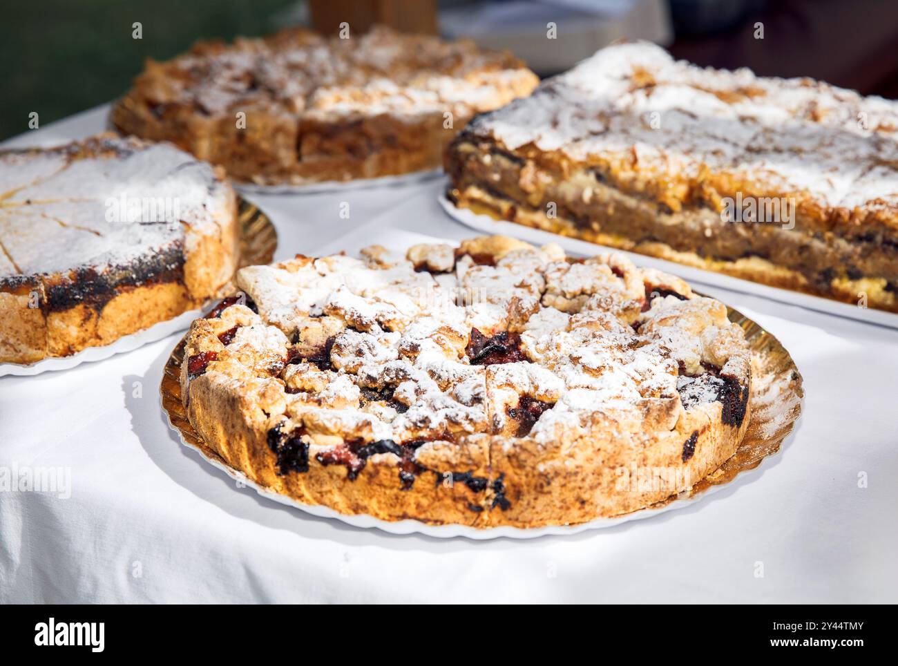 Torte fatte in casa, dolci ricoperti di zucchero a velo serviti su tovaglia bianca, deliziosi dessert al forno assortiti, concetto di fotografia gastronomica Foto Stock