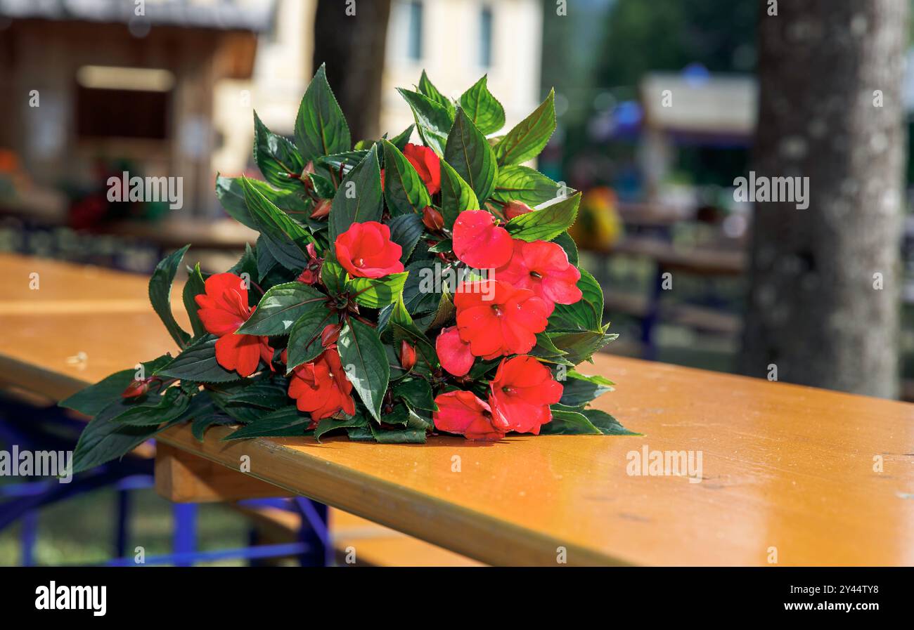 Composizione floreale con splendidi fiori rossi, foglie verdi poste su tavoli di legno all'aperto, natura, decorazione, concetto di vegetazione Foto Stock