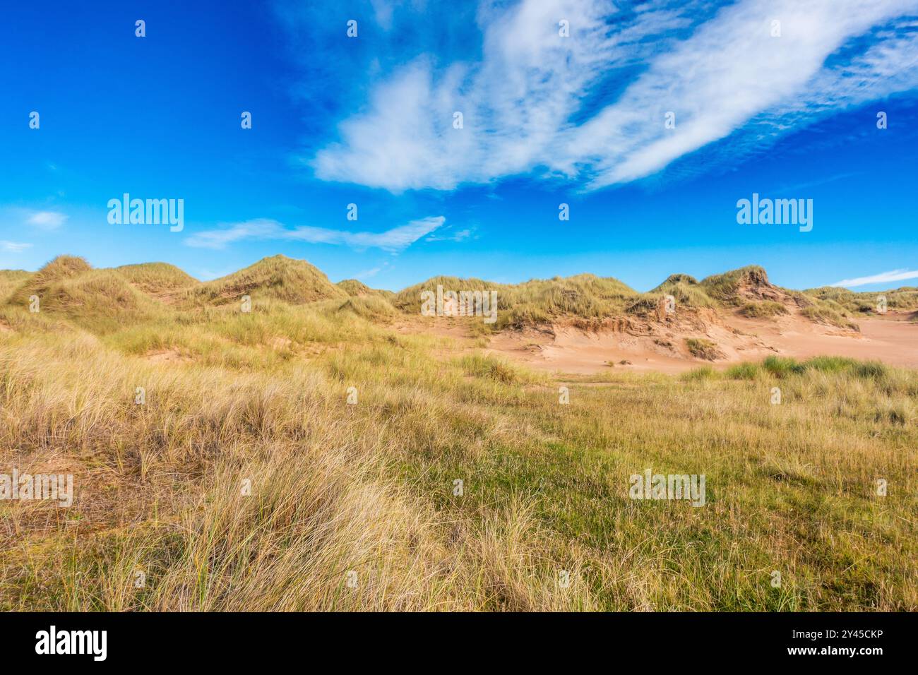Dune di sabbia a Forvie Nature Reeserve vicino a Newburgh Beach nell'Aberdeenshire, Scozia Foto Stock
