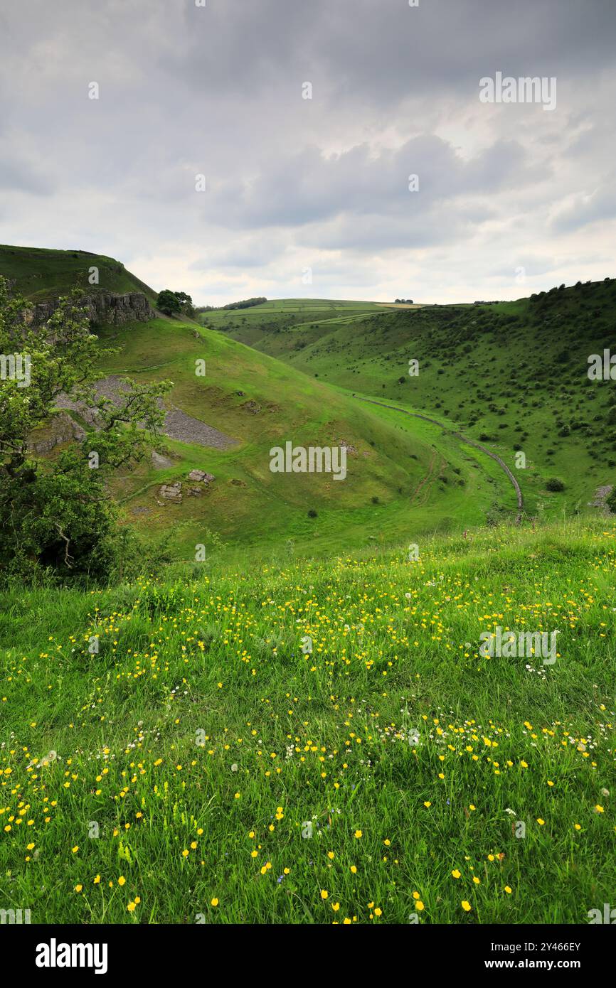 Vista estiva attraverso Cressbrook Dale, vicino al villaggio di Tideswell, Derbyshire, Peak District National Park, Inghilterra, Regno Unito Foto Stock