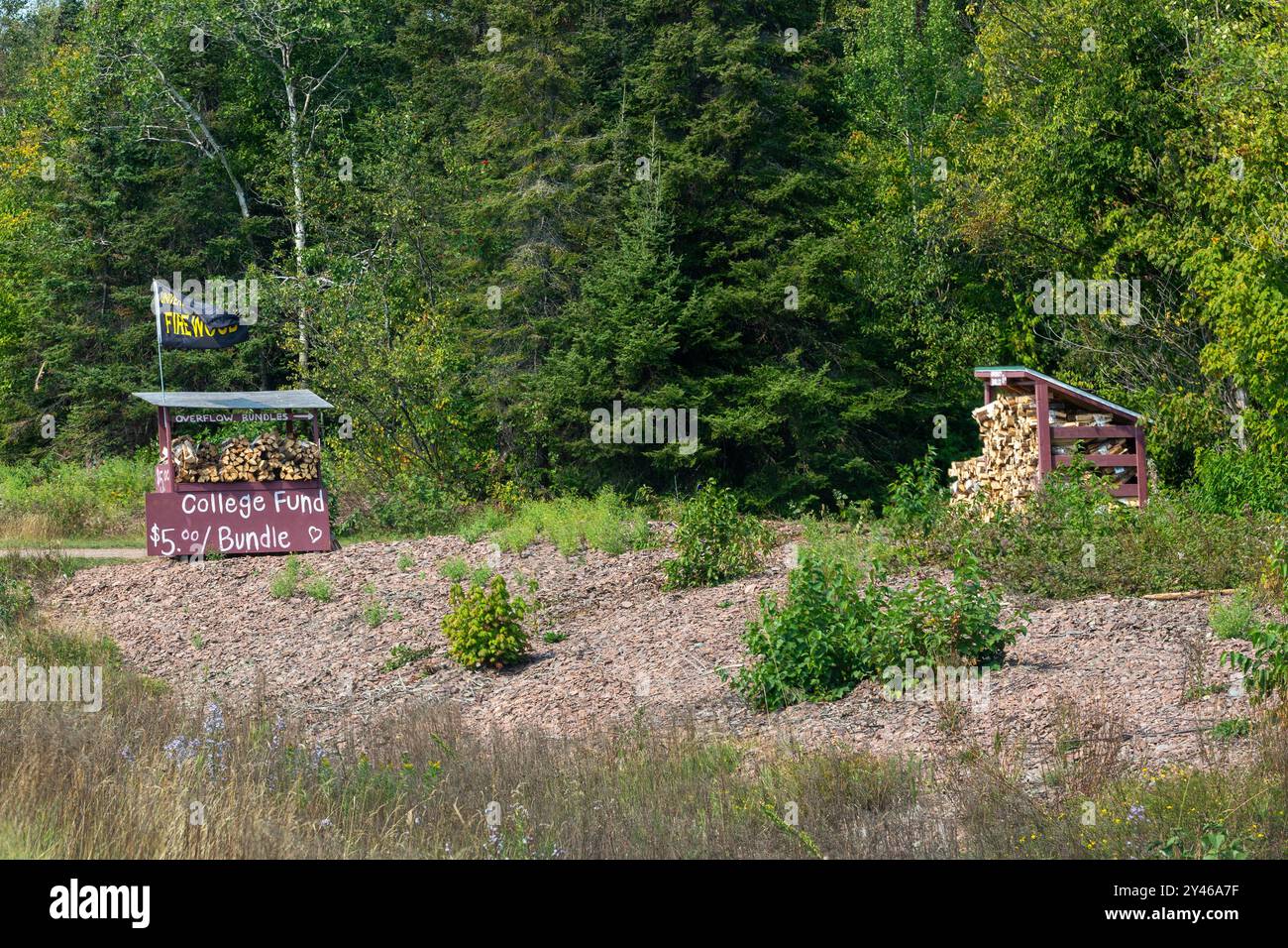Vista distante di un banco di legna da ardere lungo la strada che raccoglie fondi per un fondo universitario lungo la costa settentrionale del lago Superior, Minnesota. Foto Stock