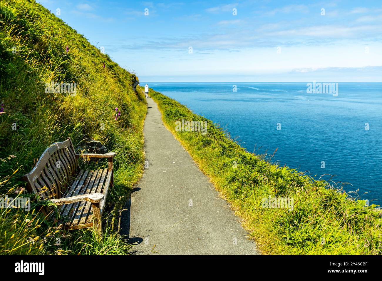 Una fantastica passeggiata nella Valley of Rocks fino alla piccola cittadina portuale di Lynmouth nella contea di Devon - Regno Unito Foto Stock