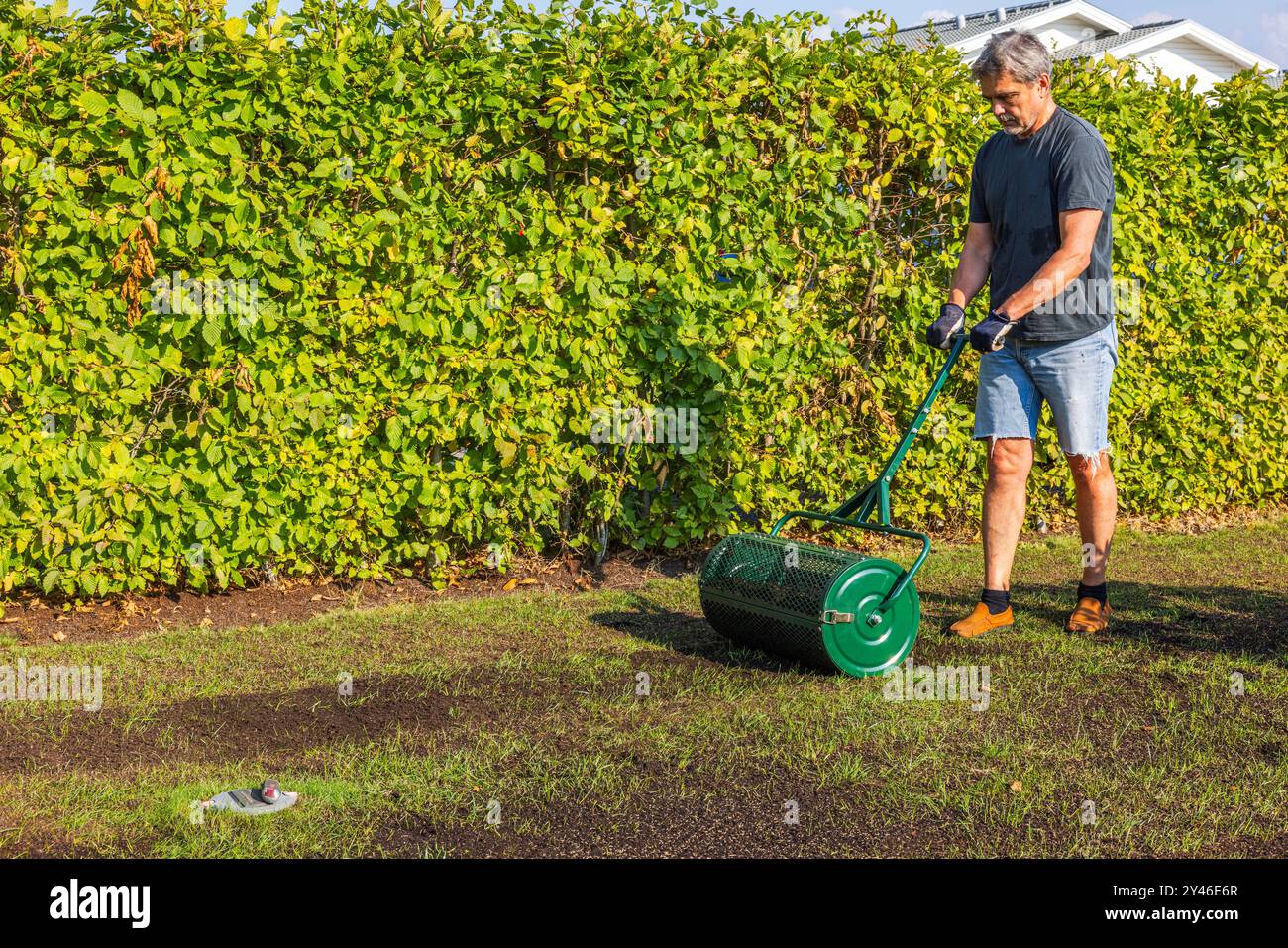 Uomo che ripristina il prato con un rullo per il terreno a rete per la distribuzione e la vagliatura del suolo per migliorare l'erba. Svezia. Foto Stock