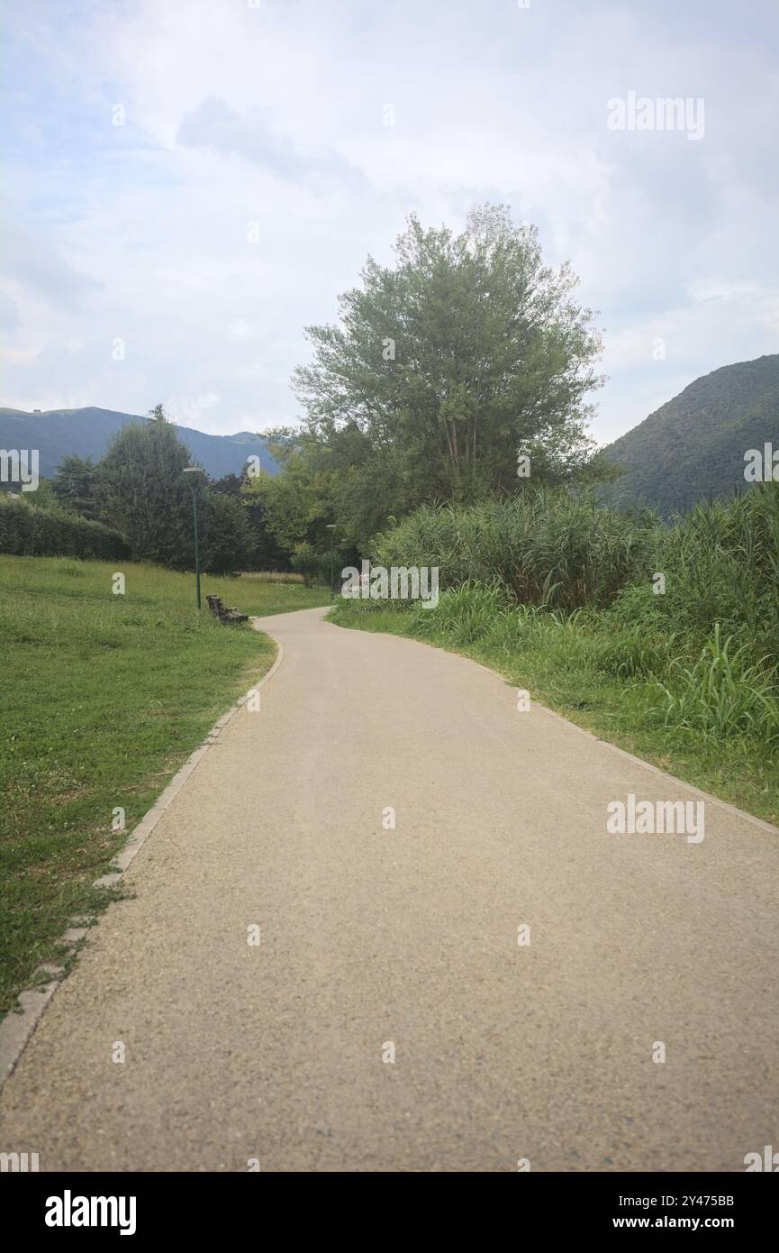 Passeggiata in un parco lungo la riva del lago delimitato da canne e alberi in una giornata nuvolosa Foto Stock