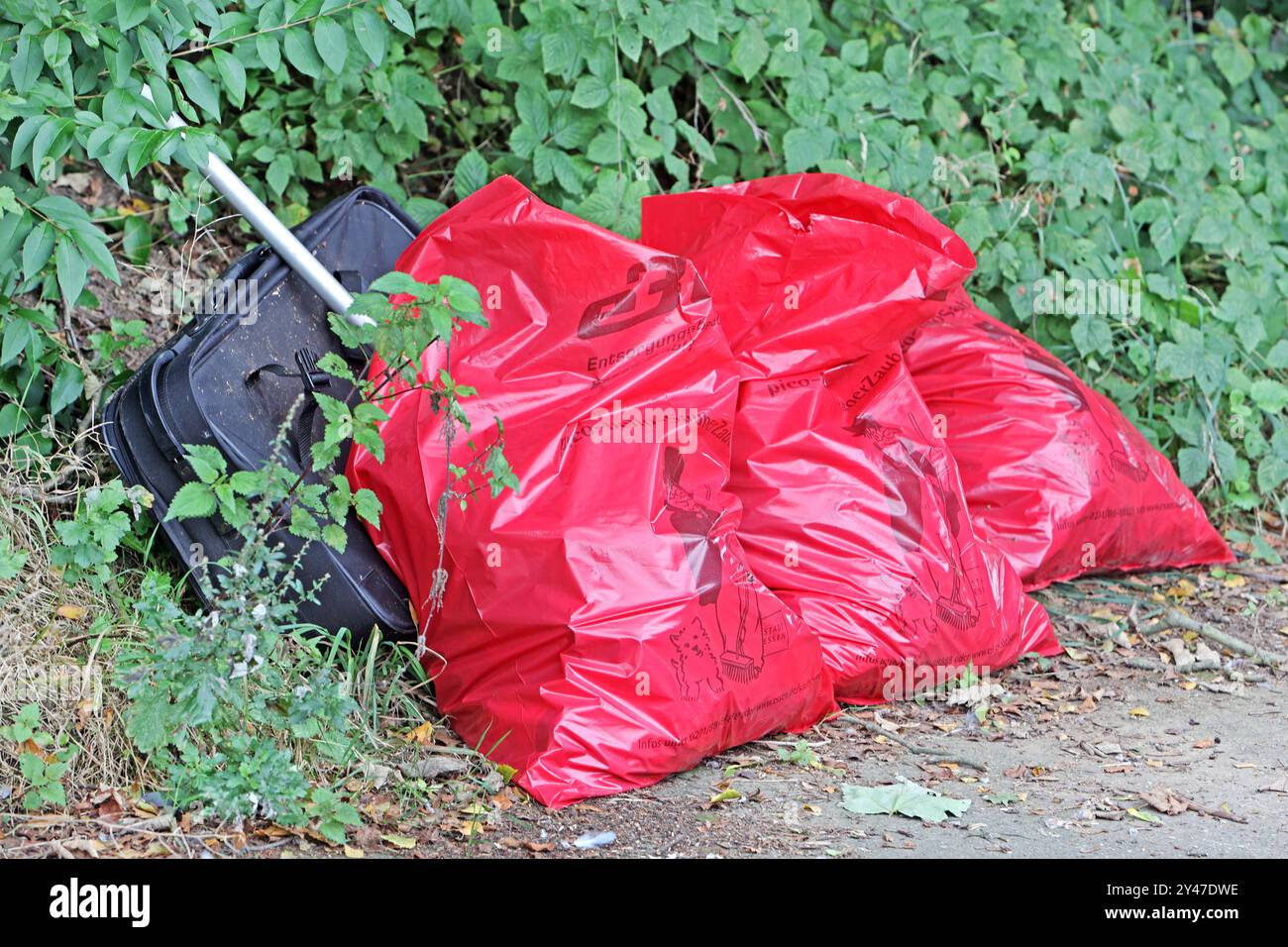 Bürgerengagement gegen Müll Müll, der von Bürgern im Rahmen der Essener Aktion Pico-bello Sauber-Zauber aus der Landschaft entfernt wurde und zur Entsorgung in Säcken am Straßenrand liegt. Essen Nordrhein-Westfalen Deutschland *** ingaggio civico contro i rifiuti asportati dal paesaggio dai cittadini nell'ambito della campagna Essens Pico bello Sauber Zauber e collocati in borse a bordo strada per lo smaltimento Essen Renania settentrionale-Vestfalia Germania Foto Stock