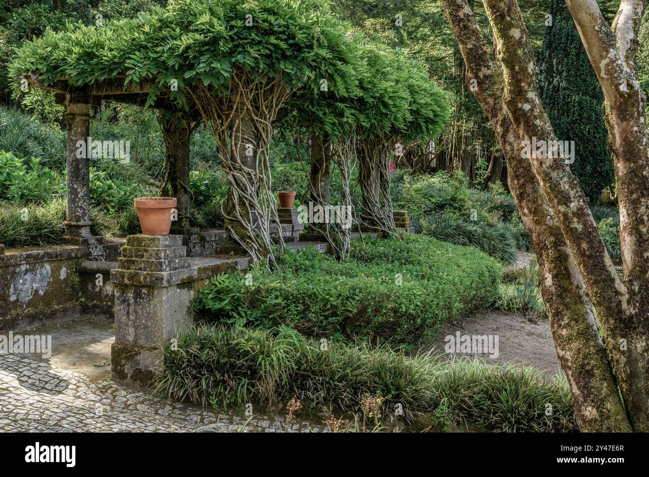 Parco nazionale pena che circonda il Palácio da pena nella parrocchia di São Pedro de Penaferrim nella città di Sintra, Portogallo, Europa Foto Stock