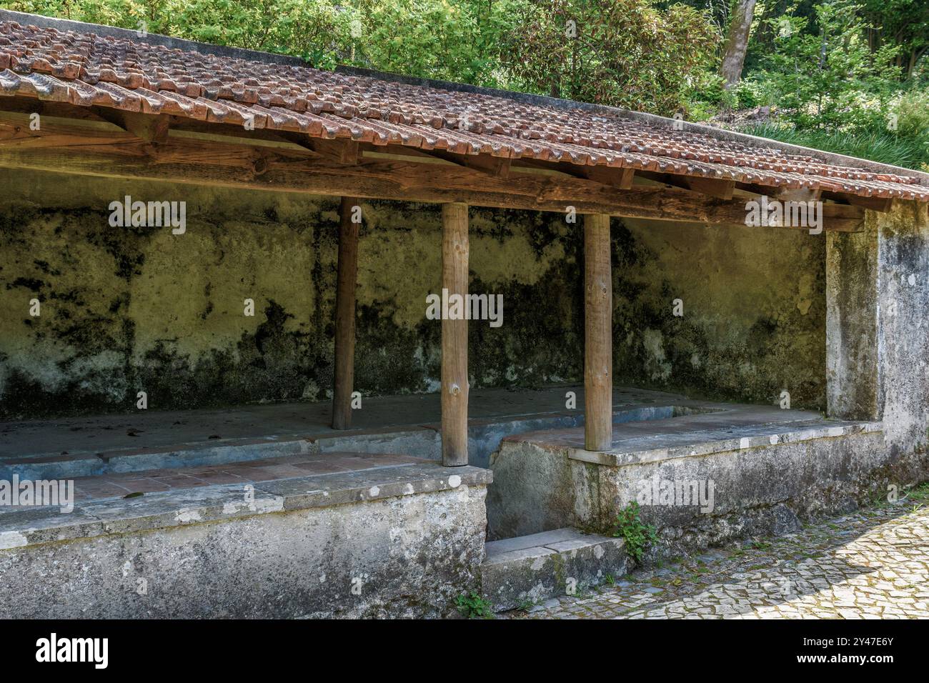 Parco nazionale pena che circonda il Palácio da pena nella parrocchia di São Pedro de Penaferrim nella città di Sintra, Portogallo, Europa Foto Stock