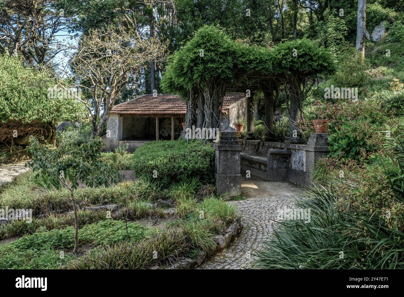 Parco nazionale pena che circonda il Palácio da pena nella parrocchia di São Pedro de Penaferrim nella città di Sintra, Portogallo, Europa Foto Stock