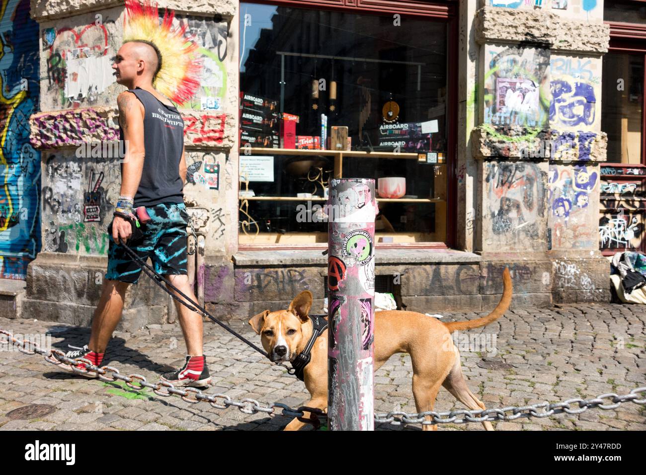 Giovane Punker con cane Street Dresda Germania Europa Foto Stock