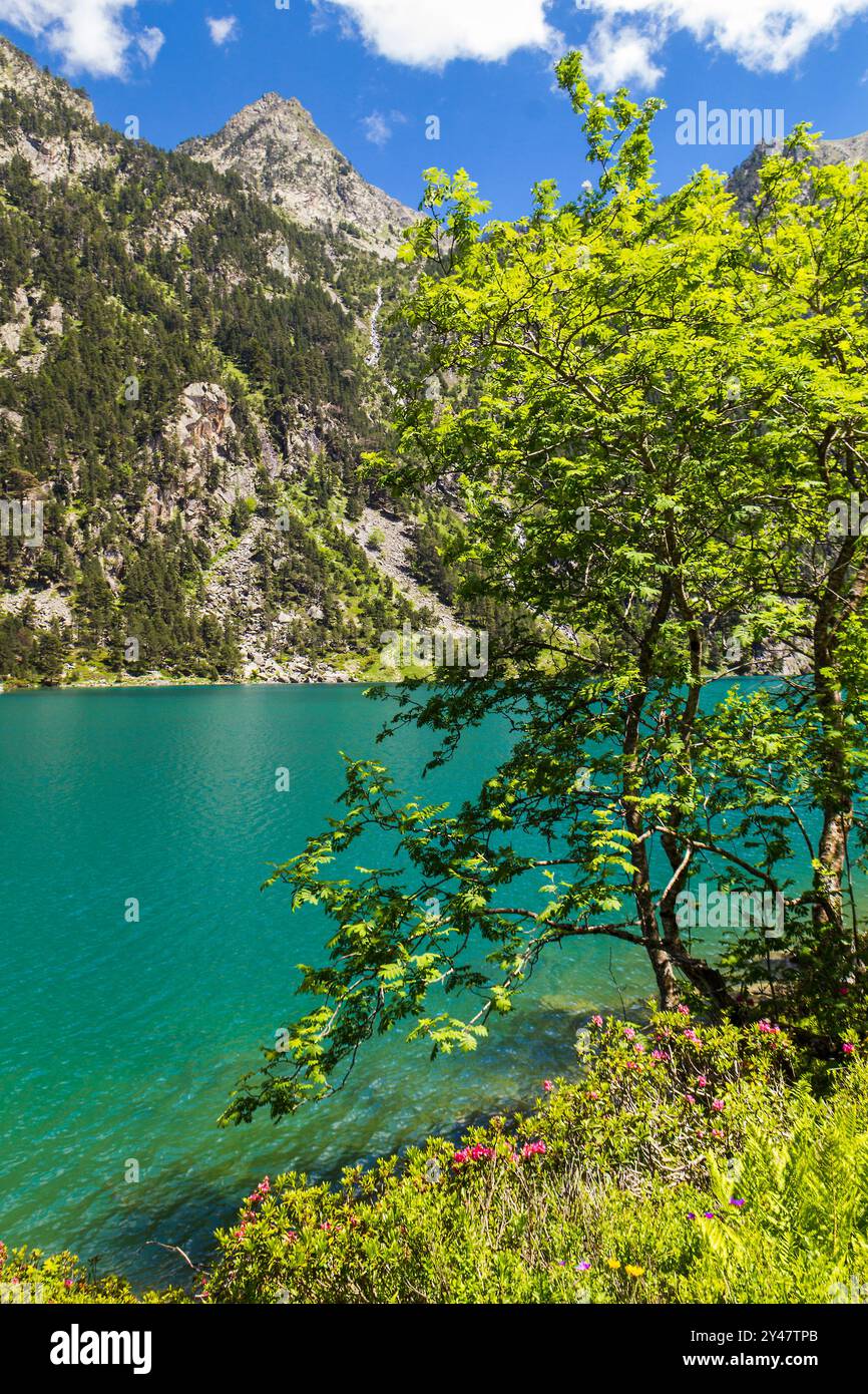 Lago di Gaube, Pirenei, Francia Foto Stock