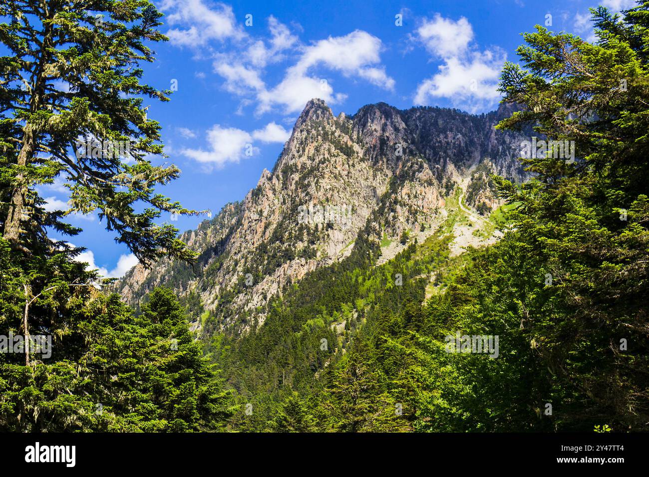 Valle di Cauterets, Pirenei, Francia Foto Stock